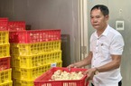 Áp dụng công nghệ cao, nông dân Hà Nội năng động làm  giàu