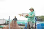 Giảm nghèo bền vững ở Nam Định, chú trọng đến hoạt động hỗ trợ hiệu quả trong sản xuất nông nghiệp