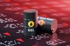 Giá xăng dầu hôm nay 26/4: Dầu lại xuống mức thấp nhất, thị trường đầy lo ngại