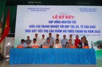 Ngoài thị trường châu Âu, Hoa Kỳ, loại quả ngon đặc sản Hải Dương có sang được châu Phi, Mỹ La tinh?