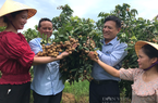 Nông dân Thanh Hoá đầu tư nuôi cá lồng, trồng cây ăn quả từ vốn vay Quỹ Hỗ trợ nông dân
