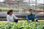 Vườn ươm cây giống lâm nghiệp tiền tỷ của một nông dân 9X ở Hà Giang