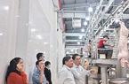 Chủ nhà máy giết mổ heo lớn nhất TP HCM gồng lỗ 2 tỉ đồng/tháng