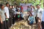 Nông dân Gia Lai được tập huấn kỹ thuật lên men phụ phẩm cây trồng làm thức ăn chăn nuôi