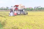 Sản xuất nông nghiệp đại điền, nông dân vào tổ dịch vụ cơ giới hoá, thu lãi hơn 135 tỷ đồng