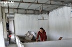 Nghệ An: Sau 3 năm, người chăn nuôi vẫn "dài cổ" chờ tiền hỗ trợ tiêu hủy gia súc do dịch bệnh