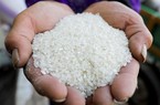 Doanh nghiệp xuất khẩu gạo cần thận trọng