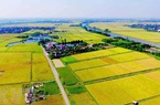 Sửa Luật Đất đai: Phải đảm bảo lợi ích chính đáng của người bị thu hồi đất