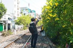 Đường tàu TP.HCM khoác áo mới nhờ sắc hoa, đã đủ để hài lòng hành khách?