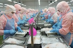 Một loài cá bình dân chỉ để làm mắm, nay phơi khô, bán sang Trung Quốc lại đắt hàng 