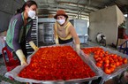 Dâu tây, hồng, đông trùng hạ thảo... vào nhóm sản phẩm thương hiệu Đà Lạt