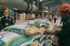 Doanh nghiệp Việt sang Lào chuyển giao cách làm nông nghiệp mới cho nông dân