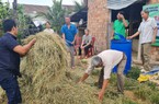 Hội Nông dân Lâm Đồng khởi động dự án tuyên truyền, vận động nông dân xử lý rác thải, giảm phát thải khí nhà kính