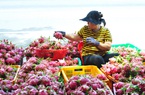 Trung Quốc thu mua tới tấp, chi hàng trăm triệu USD mua 9 loại trái cây của Việt Nam chỉ trong 3 tháng