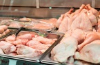 Hàng chục ngàn tấn gà thải loại được nhập lậu mỗi tháng