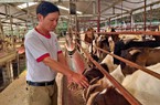 Dùng "binh pháp" nuôi con đặc sản đông đúc, một nông dân Hải Dương mong thời vàng son