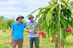 Một nông dân Quảng Trị thoát cảnh cơ hàn nhờ "nuôi lung tung, trồng lung tung" trên vùng gò đồi