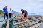 Bà Đặng Hoàng Ái Thụy tái đắc cử chức Chủ tịch Hội Nông dân huyện Phú Lộc