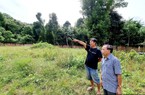 Kiểm điểm, chuyển công tác 3 cán bộ Chi nhánh VP ĐKĐĐ TP.Hà Tiên sau phản ánh của Báo Dân Việt