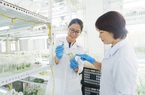 Một ngành học mới toanh ở Học viện Nông nghiệp Việt Nam nhưng thu hút nhiều sinh viên vì cơ hội việc làm tốt