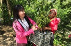 Báo NTNN/Dân Việt: Trao sinh kế cho bà con nghèo ở xã Nậm Chạc