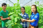 Thừa Thiên Huế triển khai chương tình hỗ trợ thanh niên khởi nghiệp 