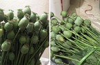 Vì sao hàng cấm, hàng giả "tung hoành" trên mạng xã hội và thương mại điện tử?