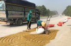 Nghệ An: Bất chấp nguy hiểm, nông dân vẫn phơi lúa, ngô trên Quốc lộ 46A