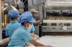 Là tỉnh có diện tích lúa lớn nhất nhì miền Bắc, Thái Bình mới xuất khẩu được 600 tấn gạo, vì sao?