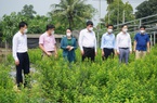 Giúp hội viên nông dân Hà Nội đồng thuận trong công tác giải phóng mặt bằng