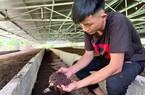 Chàng thợ điện không ngờ biến chất thải thành "vàng đen", thu 1 tỷ/năm