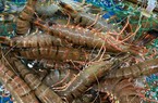 Giá hải sản tăng chóng mặt khiến người mua dè dặt