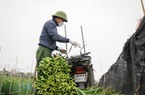 Vị trí công tác ngành nông nghiệp phải định kỳ chuyển đổi