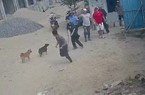 Vụ Giám đốc và lái xe bị đánh khi đi giải quyết hợp đồng: Chuyển hồ sơ sang Viện kiểm sát