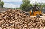 Quanh đi quẩn lại vẫn chỉ bán cho Trung Quốc, xuất khẩu mặt hàng này tiếp tục sụt cả giá và lượng