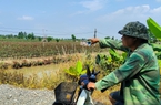 Gỡ “điểm nóng” về đất dịch vụ ở Mê Linh (Hà Nội) từ quyết sách ở Nghị trường
