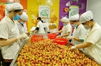 Vải thiều, mì Chũ, gạo Yên Dũng, đặc sản của tỉnh Bắc Giang được xuất ngoại, riêng vải thiều đã đến 30 nước