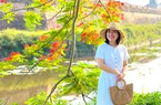 Mê lòng, ngắm hoa phượng “thắp lửa” đỏ rực các cung đường TP Huế