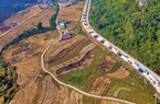Sầu riêng chín rộ cùng nhiều nông sản xuất khẩu dồn về cửa khẩu Lạng Sơn