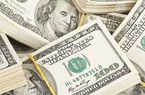 Tỷ giá USD hôm nay 31/5: Đồng USD trong nước chững lại