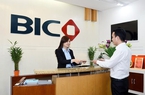 Bảo hiểm BIDV (BIC) báo lợi nhuận quý I tăng hơn 5% 