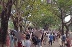 Huế xin lỗi du khách trước phản ánh hệ thống bán vé "4.0 hiệu quả 0.4"