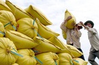 Một nước châu Á đột nhiên tăng tốc thu gom loại nông sản chủ lực của Việt Nam, sức mua tăng 177 lần
