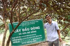 Ăn thử quả vú sữa dẻo ngọt như thạch, ông nông dân Sóc Trăng xin về trồng, giờ có vườn cây tiền tỷ 