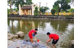 Đường quốc lộ qua làng, nhà tôi như bao nhà khác, không giữ được ao cá nữa
