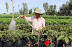 Hội Nông dân một xã ở An Giang có hơn 5.000 nông dân sản xuất, kinh doanh giỏi trong nhiệm kỳ 2018-2023