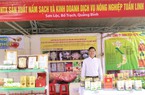 Một nông dân Quảng Bình lập Hợp tác xã trồng nấm làm giàu, còn đi dạy nghề, truyền nghề cho người nghèo