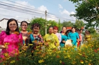 Đường hoa nông thôn mới đẹp như phim ở một xã của TP Hồ Chí Minh, ai qua cũng khen tấm tắc