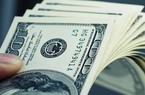Tỷ giá USD hôm nay 1/6: Đồng USD trong và ngoài nước phủ sắc xanh