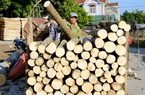 Xuất khẩu gỗ giảm mạnh, Mỹ lại gia hạn thời gian ban hành kết luận cuối cùng về một sản phẩm gỗ của Việt Nam